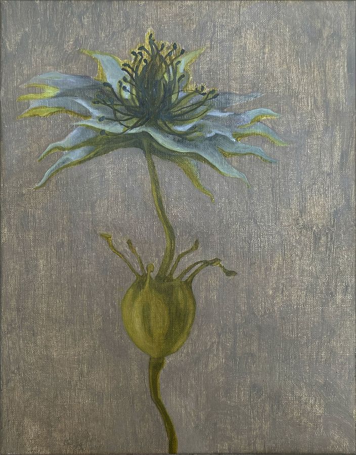 Alina Petre, Fiore blu
