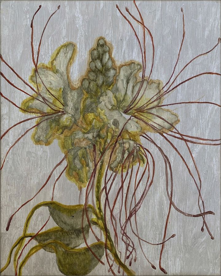 Alina Petre, Fiore verde