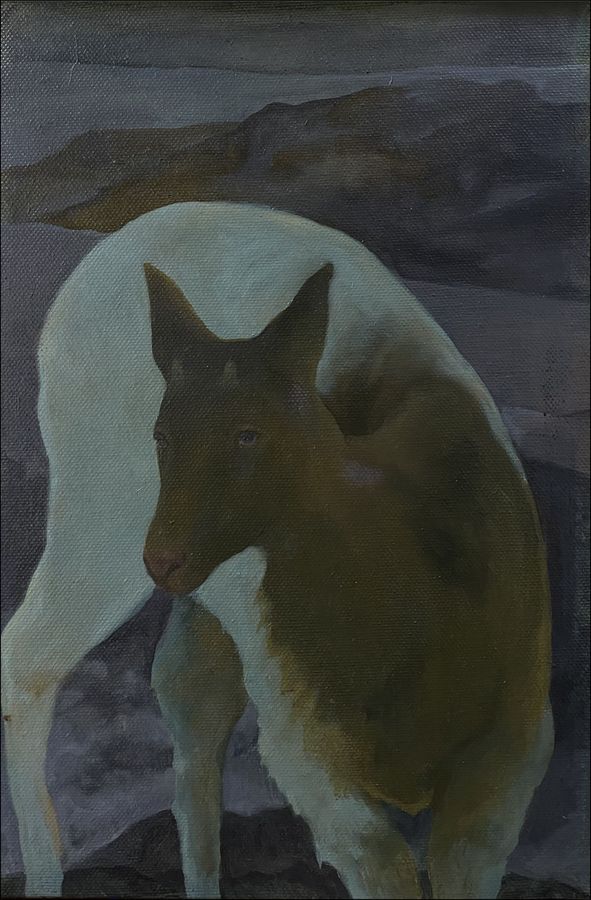 Alina Petre, Nel silenzio