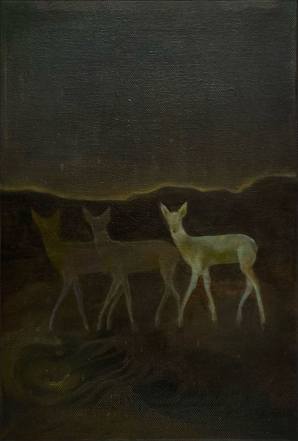 Alina Petre, Luce tra le ombre