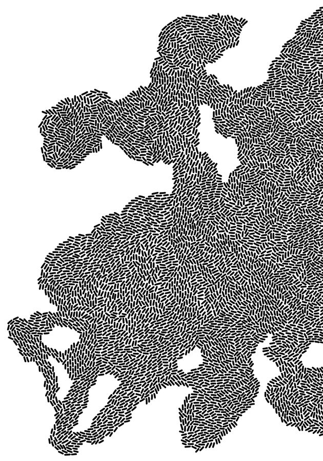 Laura Mariuzzo, Flusso gravitazionale 1/3