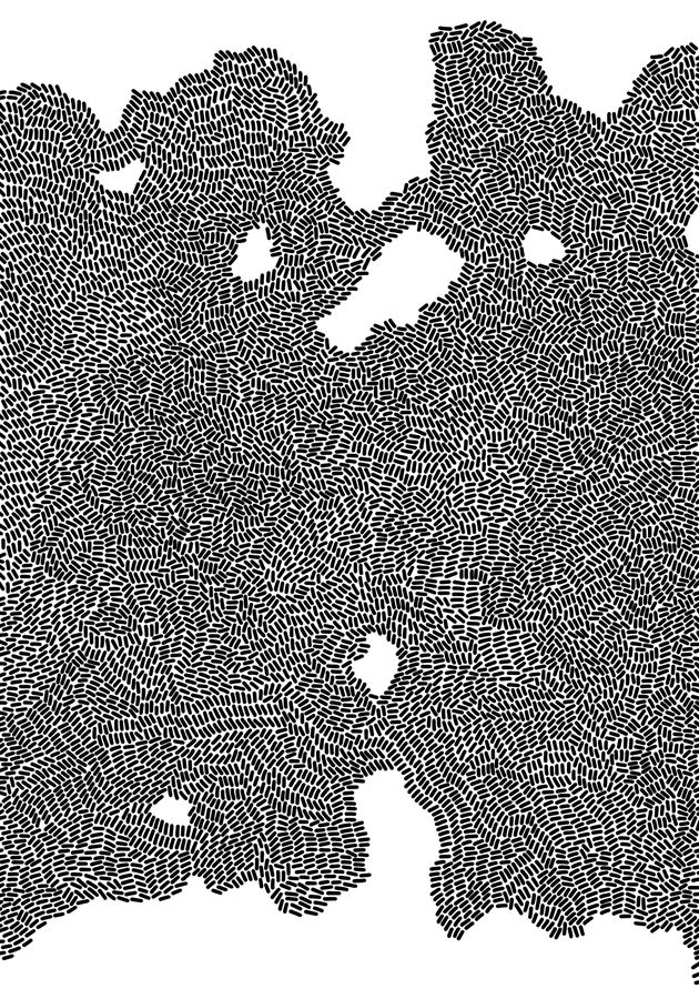 Laura Mariuzzo, Flusso gravitazionale 2/3