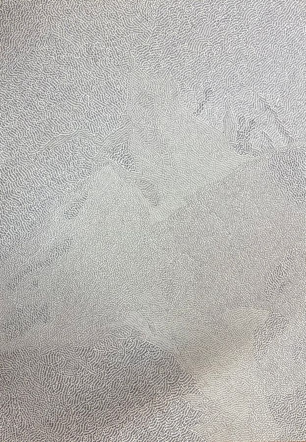 Laura Mariuzzo, Planimetrie (serie)