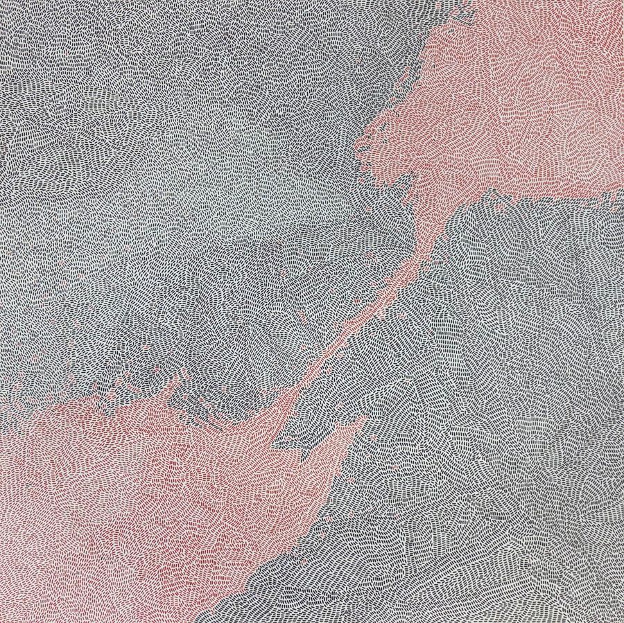 Laura Mariuzzo, Planimetrie (serie)
