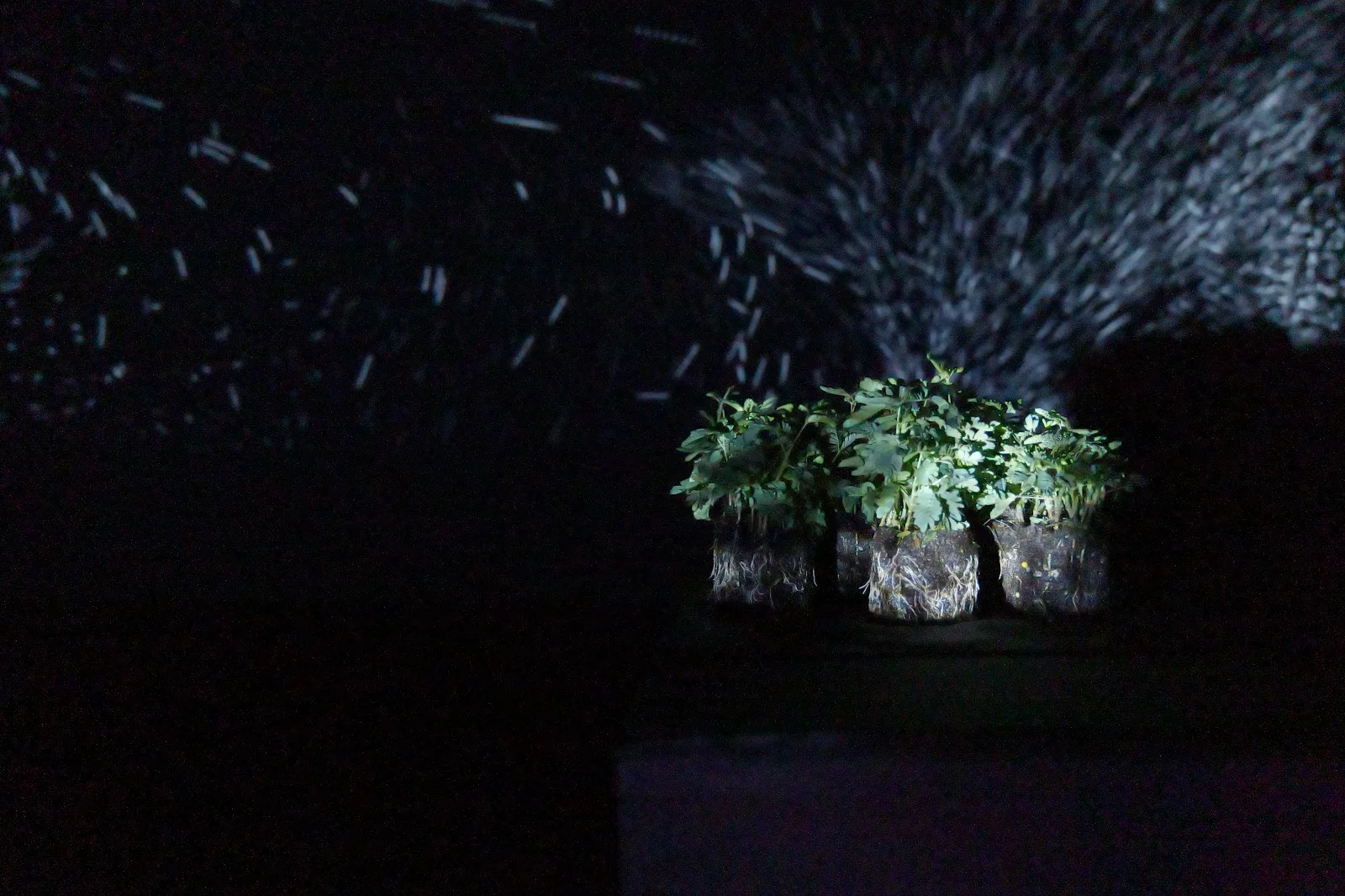 Dust of Breath
